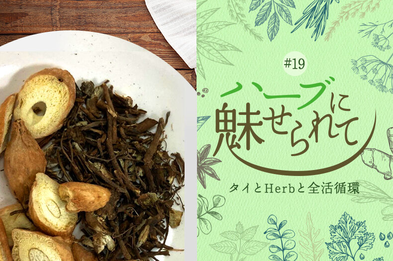 タイの普通のくらしに共存するHerb＆Spice ～クラチャイの効果～のタイトル画像