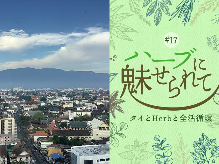 Nature Future Café 新ランチメニューお披露目に向けて