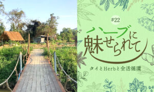 Nature Future Café 新ランチメニューお披露目に向けて ～工場裏にできた　Nature Future Farm Herb garden ～のタイトル画像
