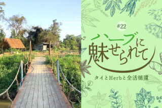 Nature Future Café 新ランチメニューお披露目に向けて ～工場裏にできた　Nature Future Farm Herb garden ～のタイトル画像