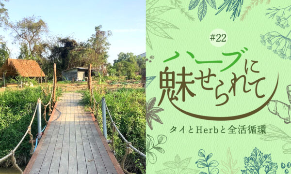 Nature Future Café 新ランチメニューお披露目に向けて ～工場裏にできた　Nature Future Farm Herb garden ～のタイトル画像