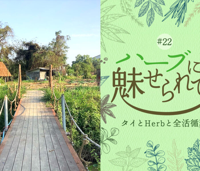 Nature Future Café 新ランチメニューお披露目に向けて