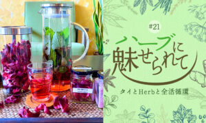 タイの普通のくらしに共存するHerb＆Spice ～唯一無二の塩からできたフリーズドライハイビスカスソルト～のタイトル画像