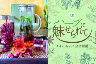 タイの普通のくらしに共存するHerb＆Spice ～唯一無二の塩からできたフリーズドライハイビスカスソルト～のタイトル画像