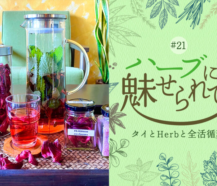 タイの普通のくらしに共存するHerb＆Spice ～唯一無二の塩からできたフリーズドライハイビスカスソルト～