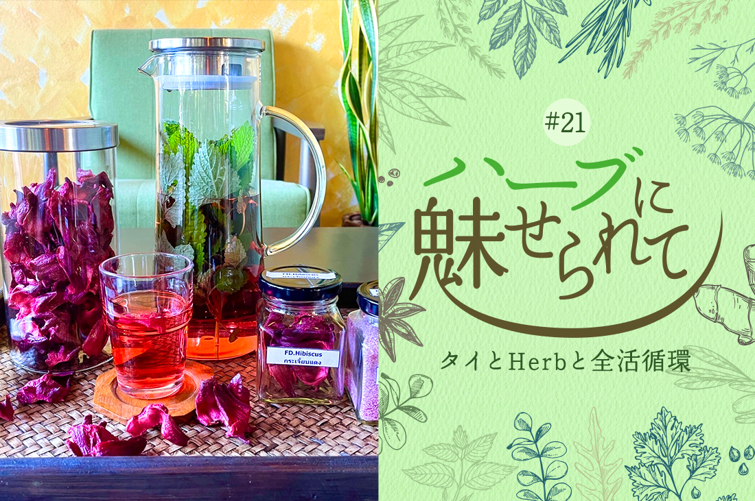 タイの普通のくらしに共存するHerb＆Spice ～唯一無二の塩からできたフリーズドライハイビスカスソルト～のタイトル画像