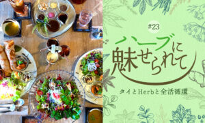 Nature Future Café 新ランチメニューお披露目に向けて ～新メニューリリース　ここから発展する新たな夢～のタイトル画像