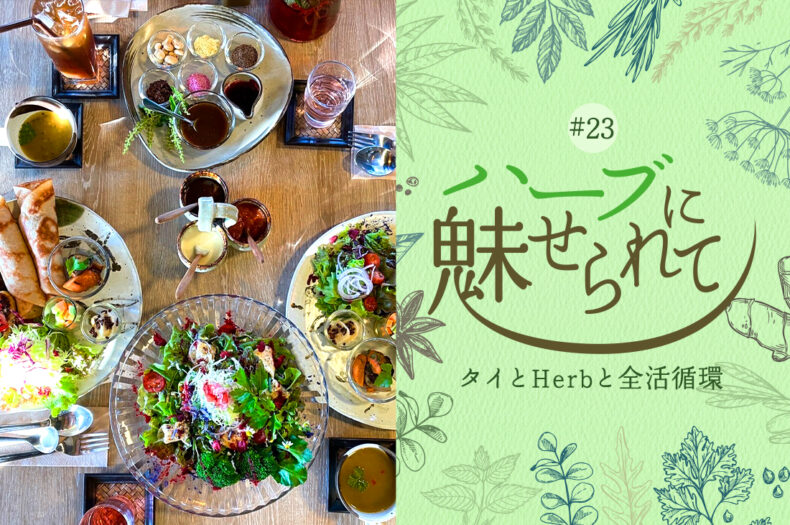 Nature Future Café 新ランチメニューお披露目に向けて ～新メニューリリース　ここから発展する新たな夢～のタイトル画像