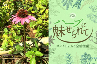 タイの普通のくらしに共存するHerb＆Spiceのタイトル画像