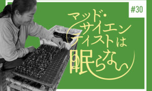 タイコスモスのゆかいな仲間たち編３ あなたはだあれ？（その３）のタイトル画像