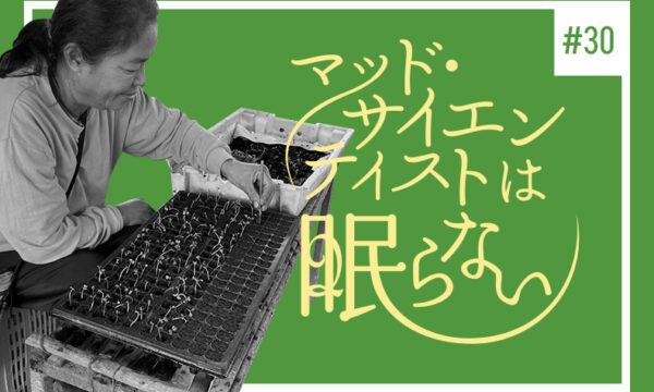タイコスモスのゆかいな仲間たち編３ あなたはだあれ？（その３）のタイトル画像