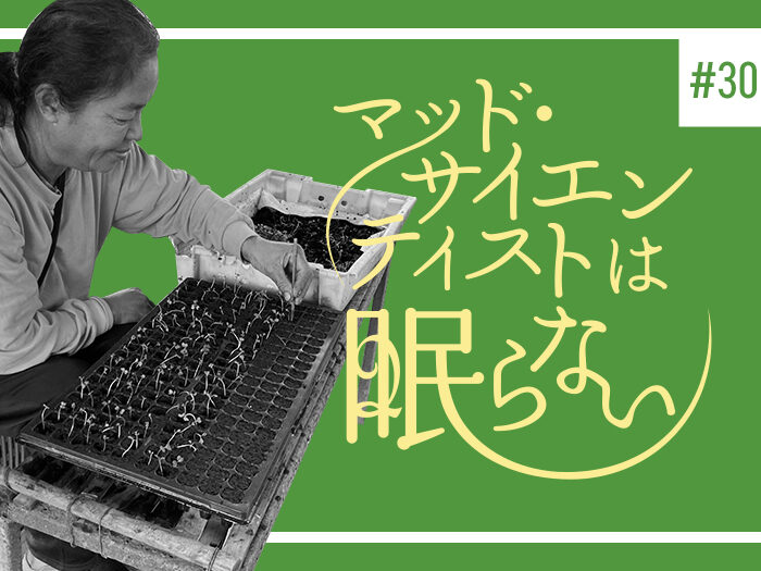 タイコスモスのゆかいな仲間たち編３ あなたはだあれ？（その３）