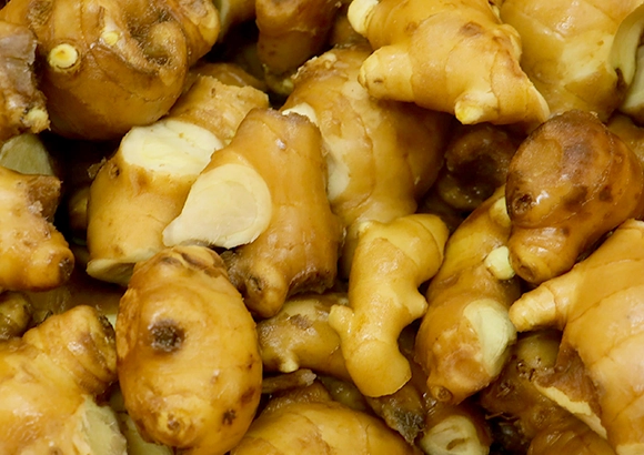 記事：ご縁をつなぐ、三田産野菜が主役のビーフシチュー