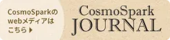 CosmoSparkJOURNAL