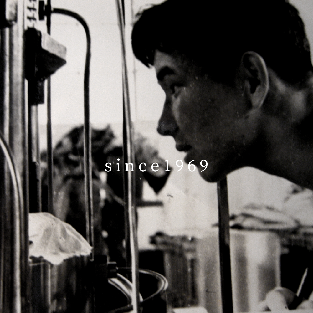 フリーズドライの写真