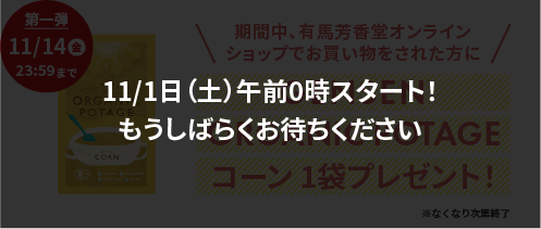 11/1日（土）午前0時スタート！もうしばらくお待ちください