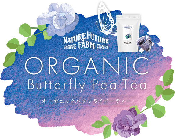 ORGANIC BUTTERFLYPEA TEA