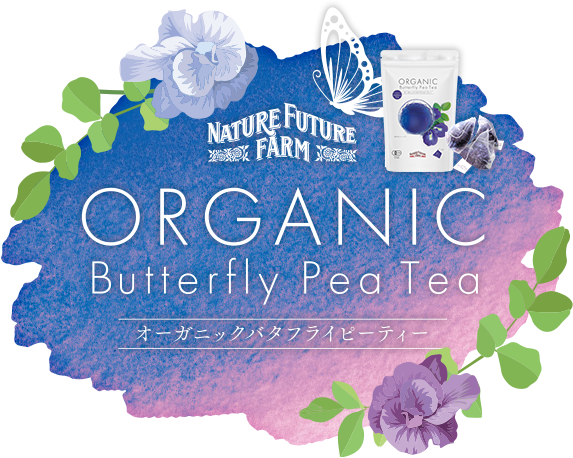 ORGANIC BUTTERFLYPEA TEA