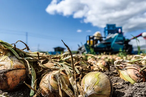 AWATAMA パワー作戦!