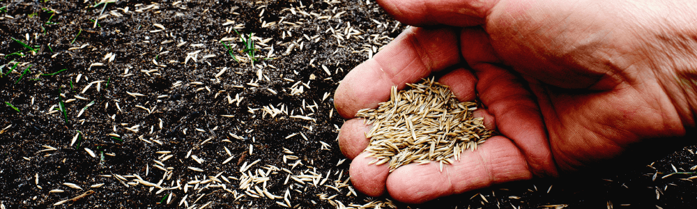 栄養豊富な有機野菜を求め