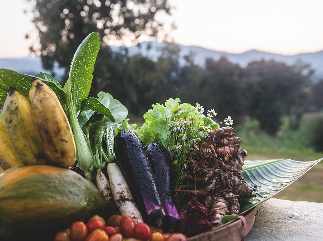 栄養豊富な有機食材を求め