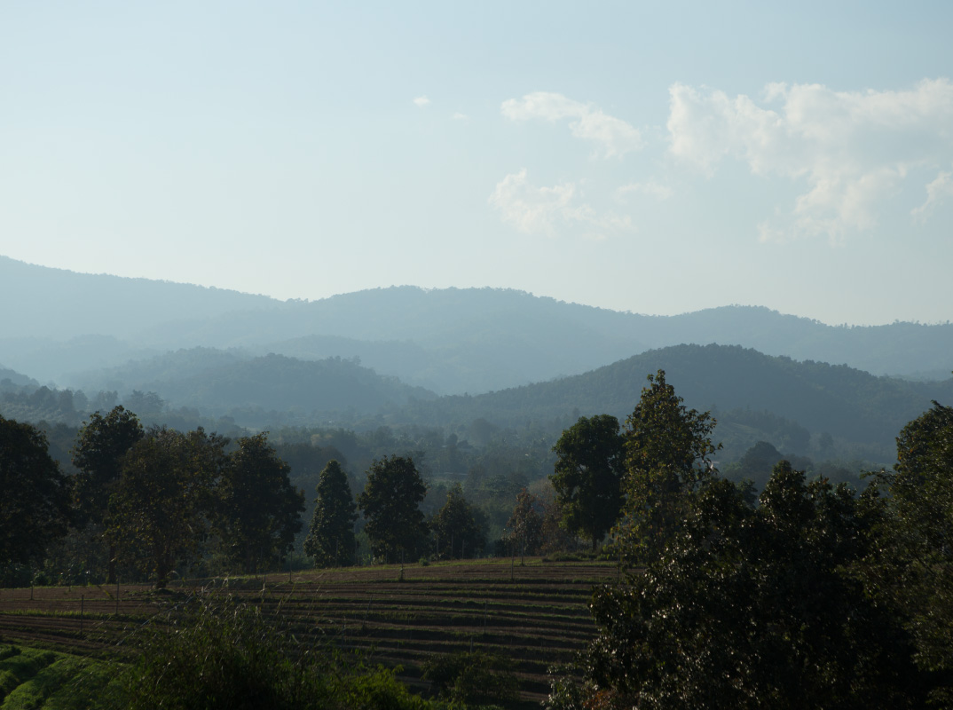 農薬に侵されていない聖域チェンライとの出会い