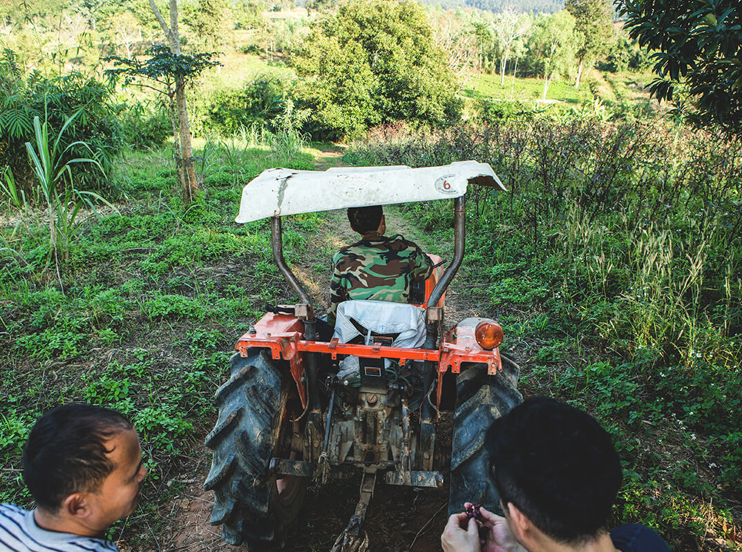 6年の歳月をかけた結晶 有機JAS 認証