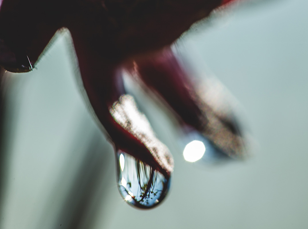 独自の農法 全活循環農法